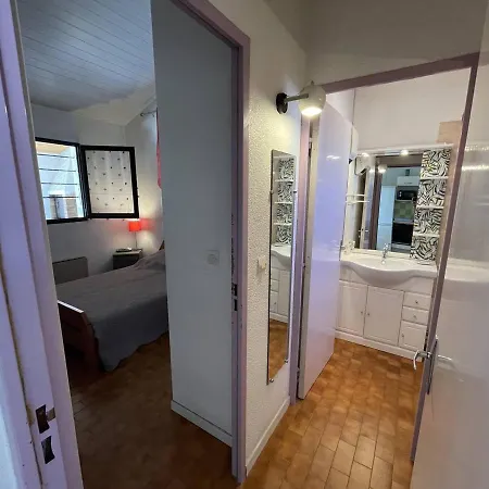 Villa Jolie 3 Pièces Avec Véranda, Terrasse, Parking Sécurisé Et Animaux Admis à Saint-cyprien - Fr-1-106-68