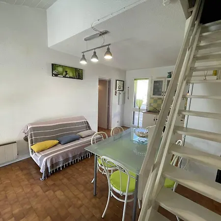 Jolie 3 Pieces Avec Veranda, Terrasse, Parking Securise Et Animaux Admis A Saint-cyprien - Fr-1-106-68 * Saint-Cyprien (Pyrenees-Orientales)