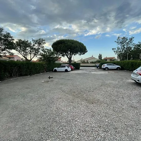 فيلة Jolie 3 Pieces Avec Veranda, Terrasse, Parking Securise Et Animaux Admis A Saint-cyprien - Fr-1-106-68