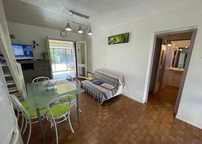 Jolie 3 Pieces Avec Veranda, Terrasse, Parking Securise Et Animaux Admis A Saint-cyprien - Fr-1-106-68 Вилла