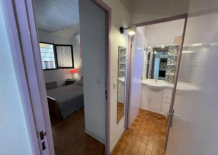 Вилла Jolie 3 Pieces Avec Veranda, Terrasse, Parking Securise Et Animaux Admis A Saint-cyprien - Fr-1-106-68