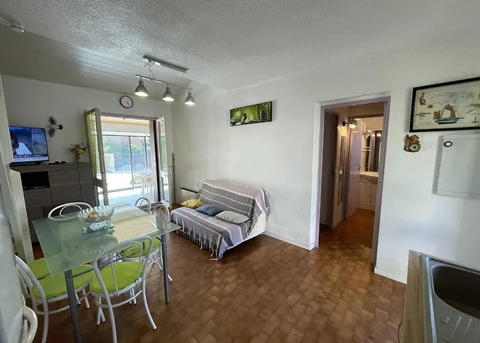 Jolie 3 Pieces Avec Veranda, Terrasse, Parking Securise Et Animaux Admis A Saint-cyprien - Fr-1-106-68 *