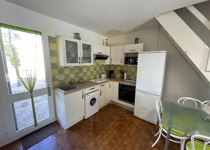 Jolie 3 Pieces Avec Veranda, Terrasse, Parking Securise Et Animaux Admis A Saint-cyprien - Fr-1-106-68 *