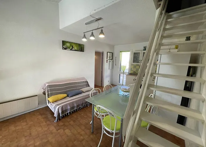 Jolie 3 Pieces Avec Veranda, Terrasse, Parking Securise Et Animaux Admis A Saint-cyprien - Fr-1-106-68 * Сен-Сиприен